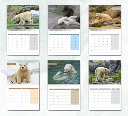 Polar Bear Calendar 2026