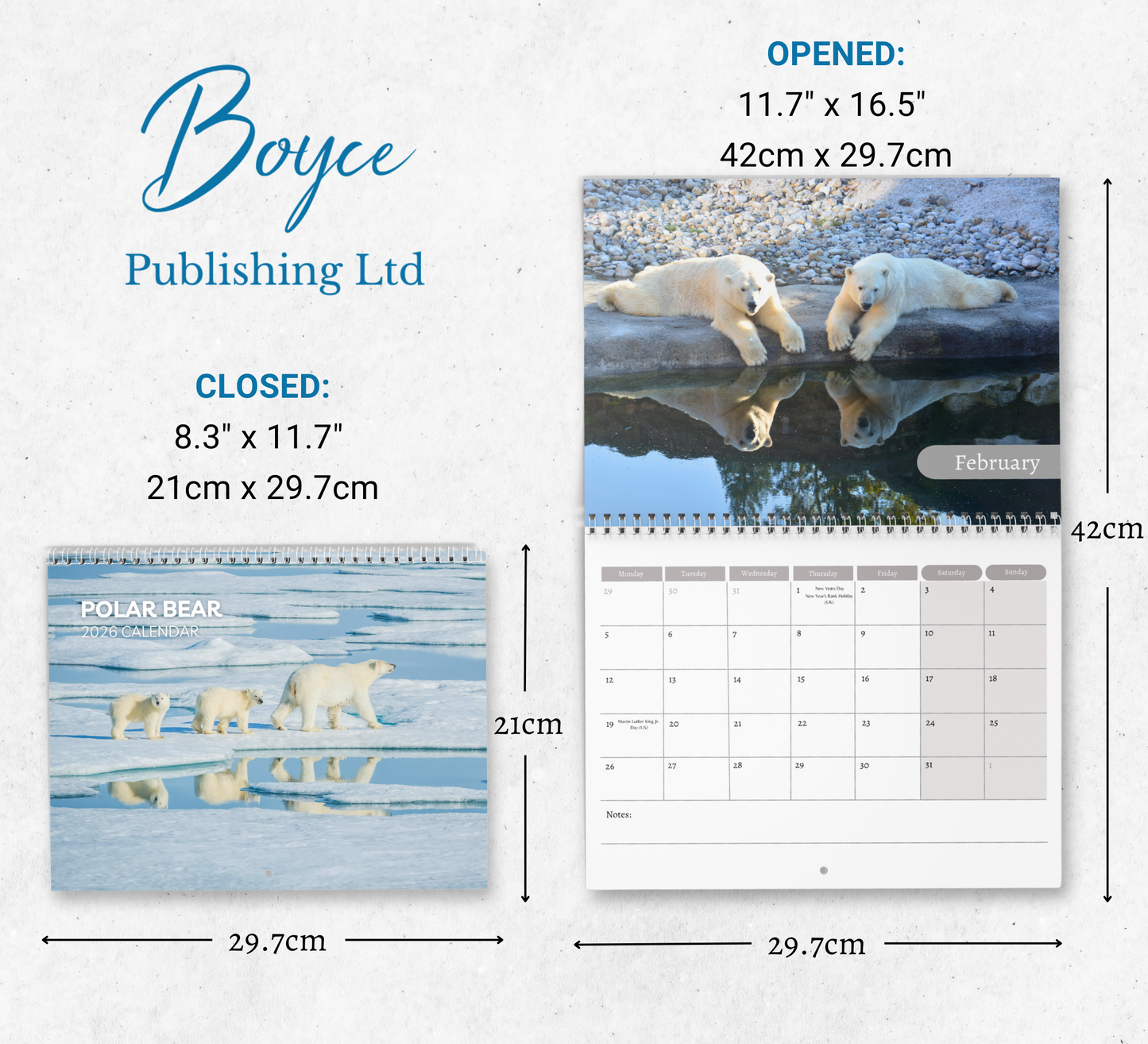 Polar Bear Calendar 2026