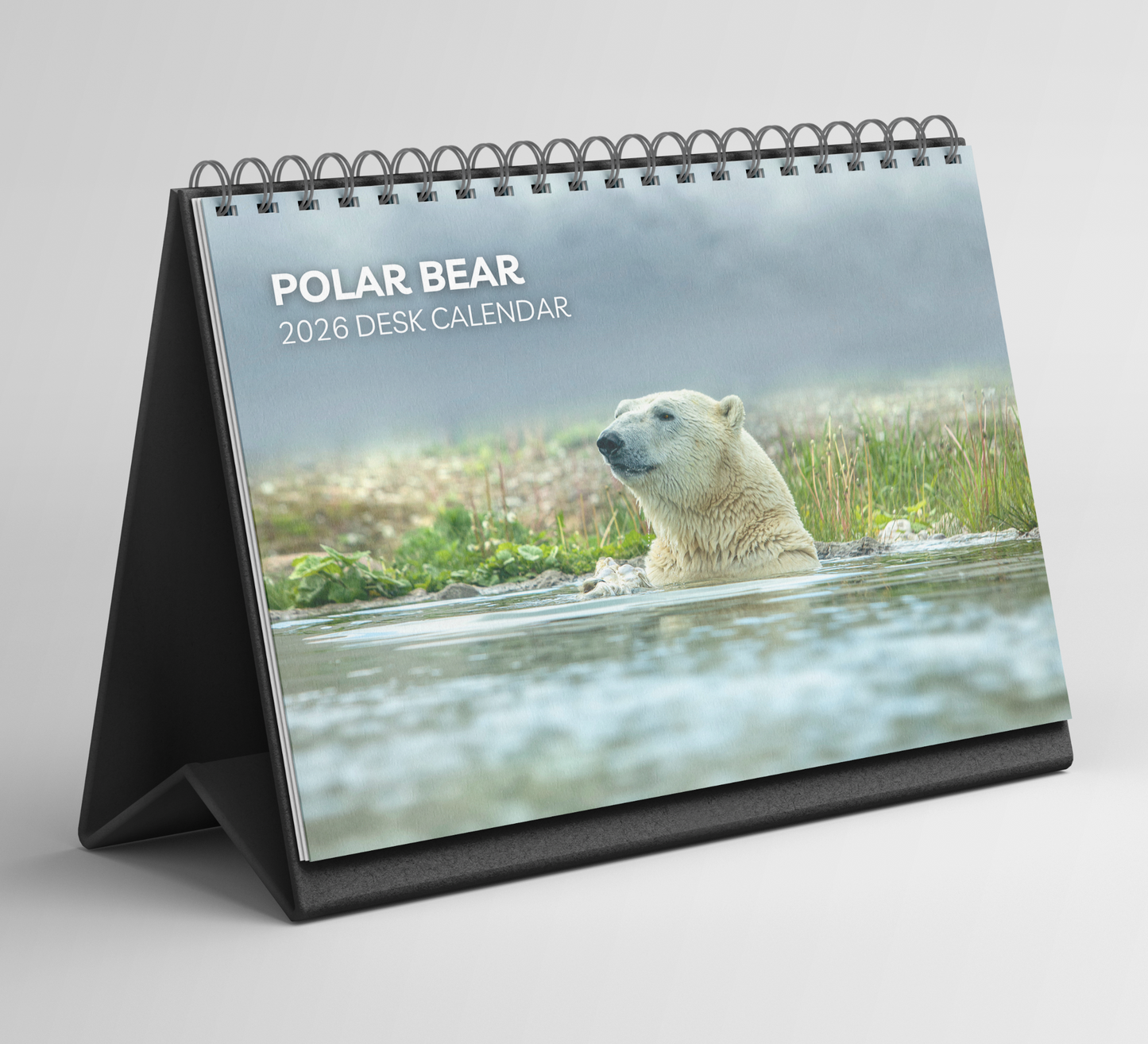 Polar Bear Desk Calendar 2026-2027
