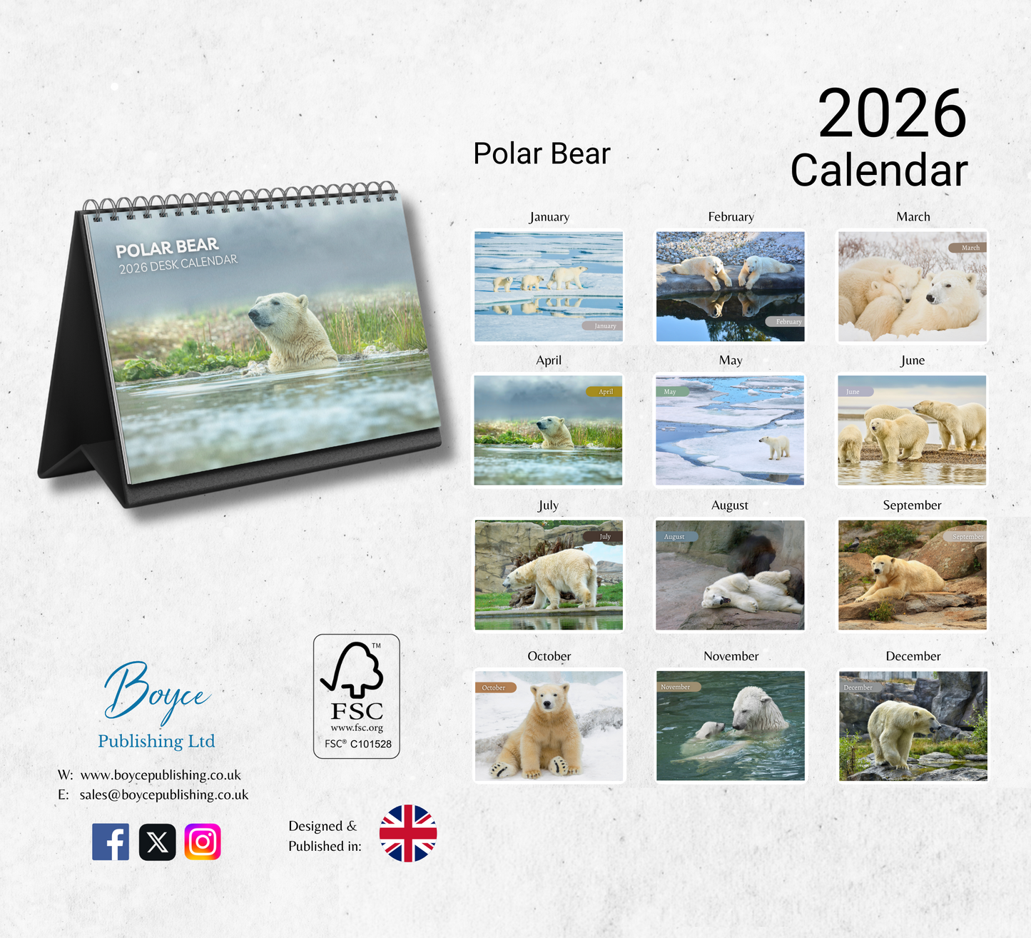 Polar Bear Desk Calendar 2026-2027