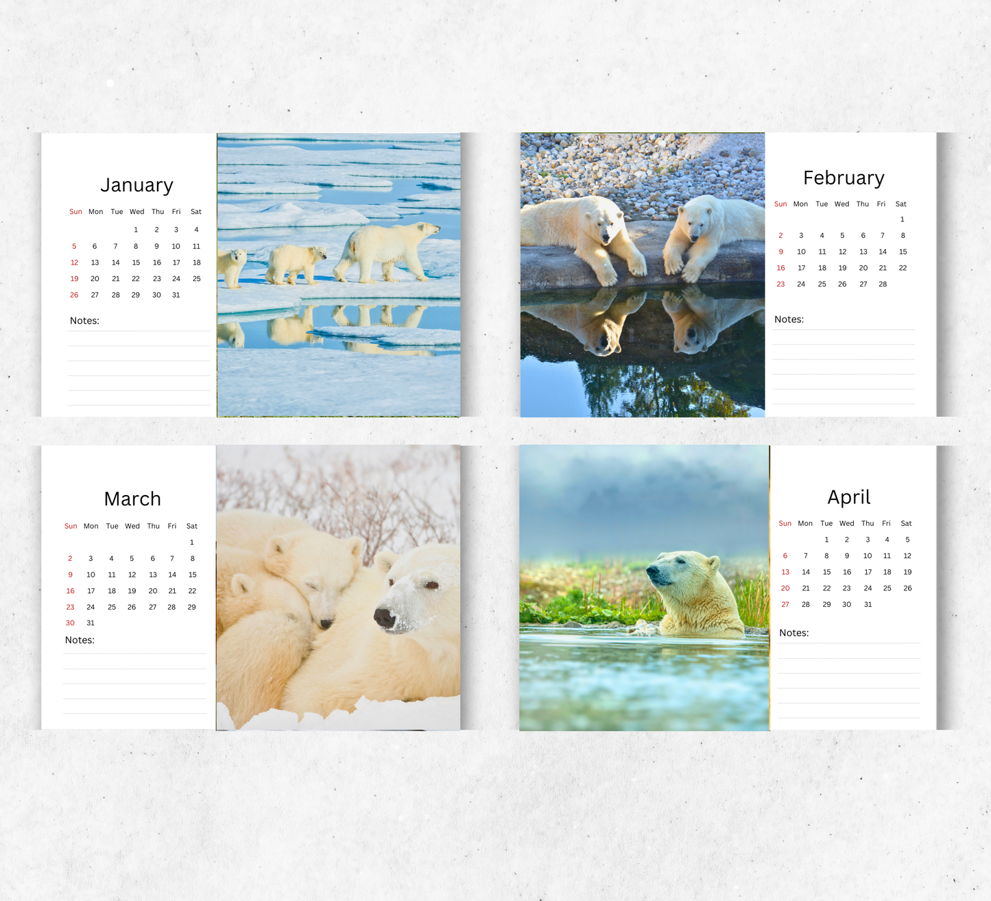 Polar Bear Desk Calendar 2026-2027