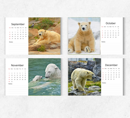 Polar Bear Desk Calendar 2026-2027