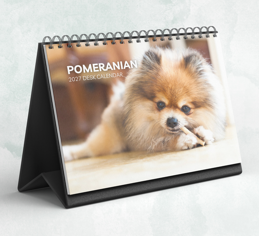 Pomeranian Desk Calendar 2027-2028