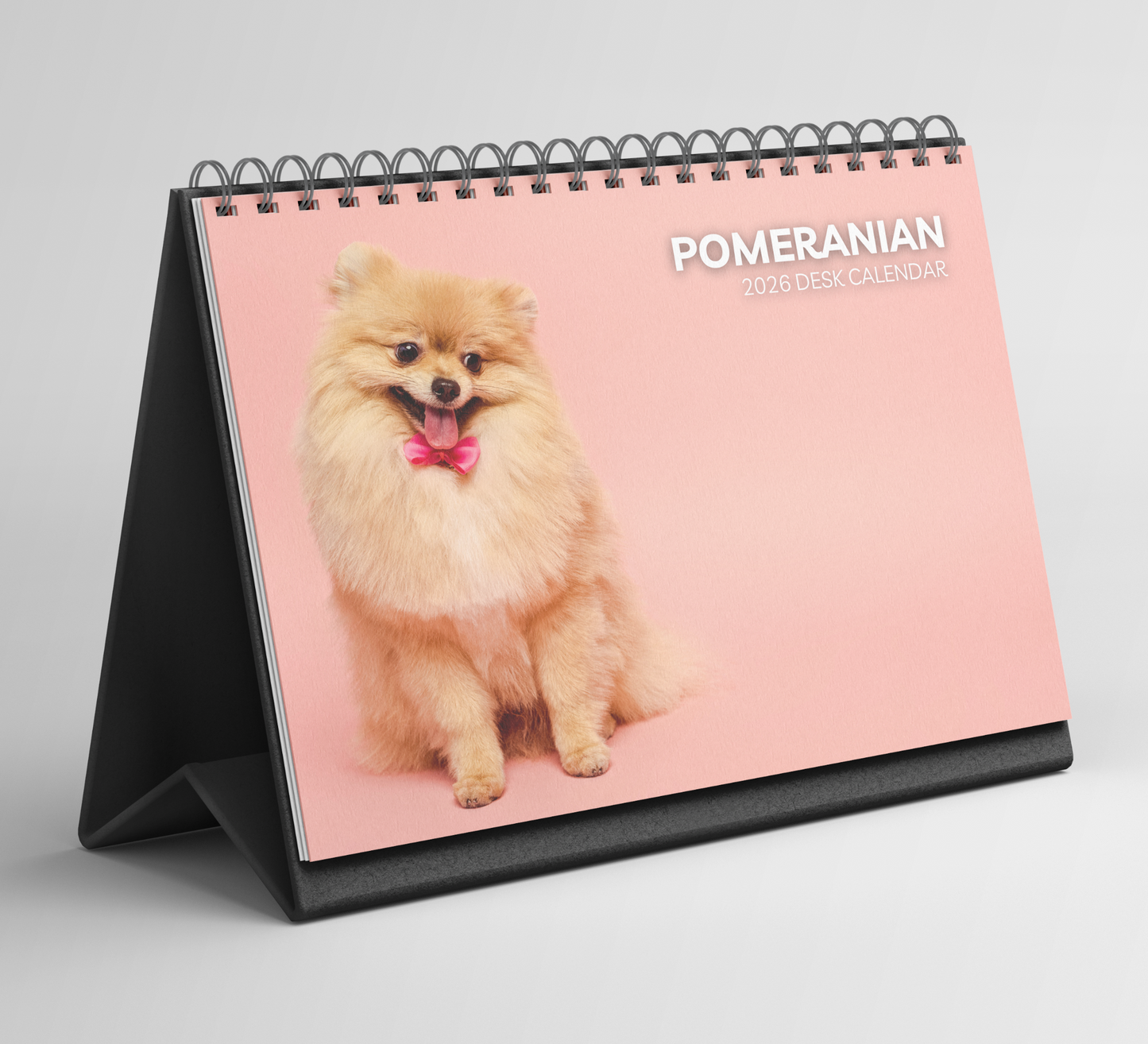 Pomeranian Desk Calendar 2026-2027