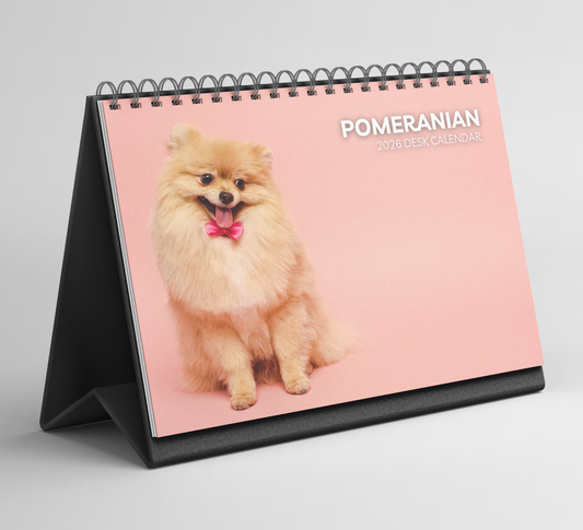 Pomeranian Desk Calendar 2026-2027