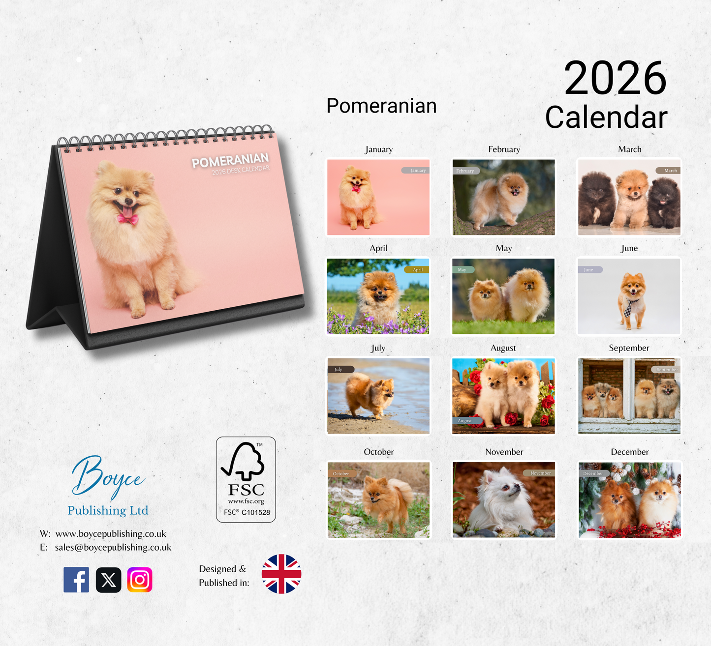 Pomeranian Desk Calendar 2026-2027