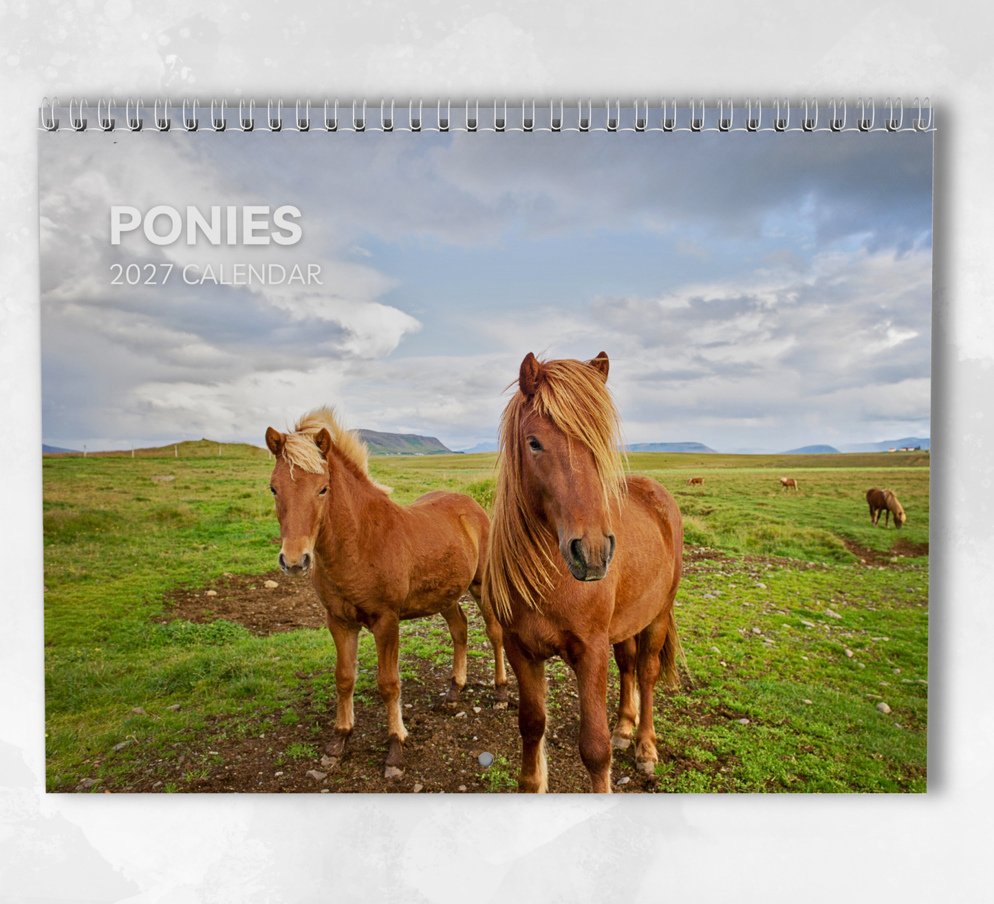 Pony Calendar 2027