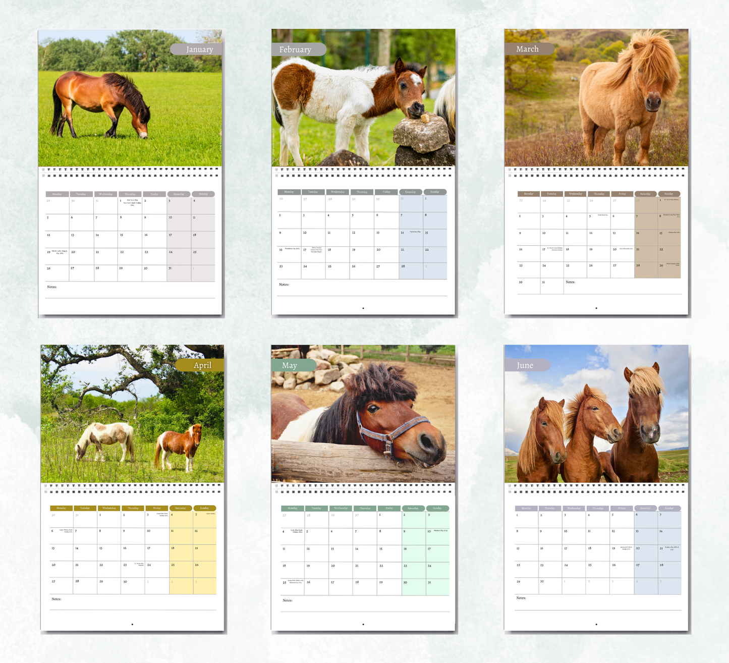 Pony Calendar 2027