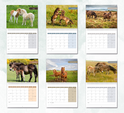 Pony Calendar 2027