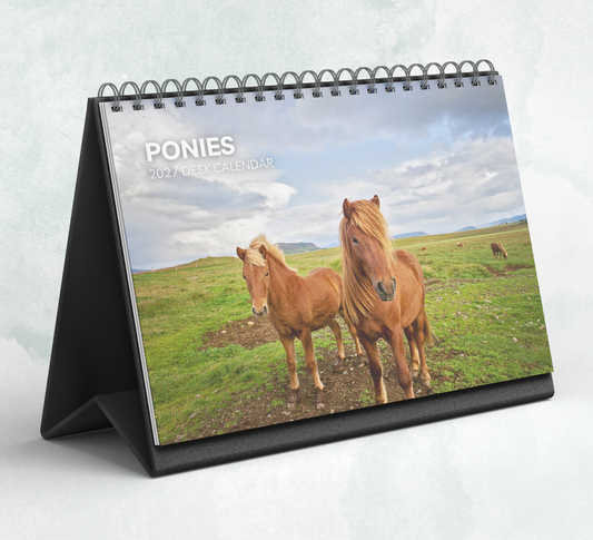 Pony Desk Calendar 2027-2028