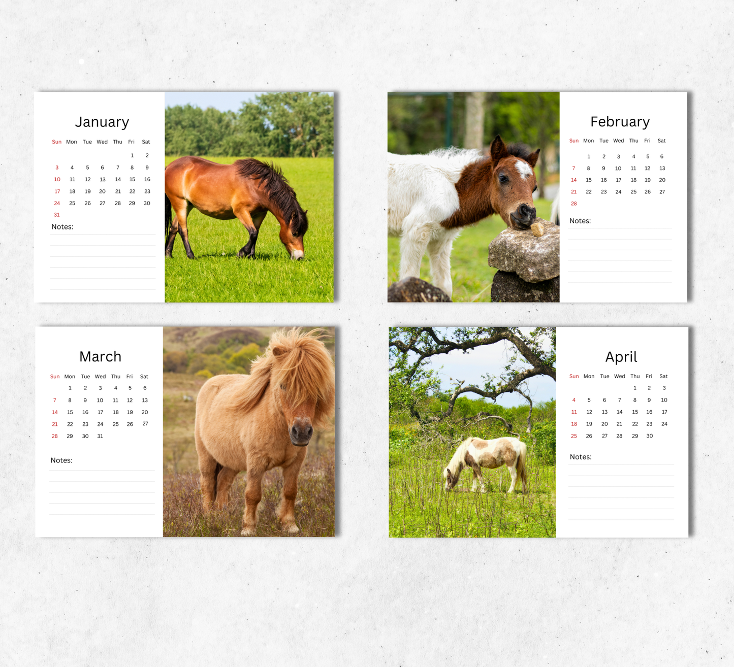 Pony Desk Calendar 2027-2028