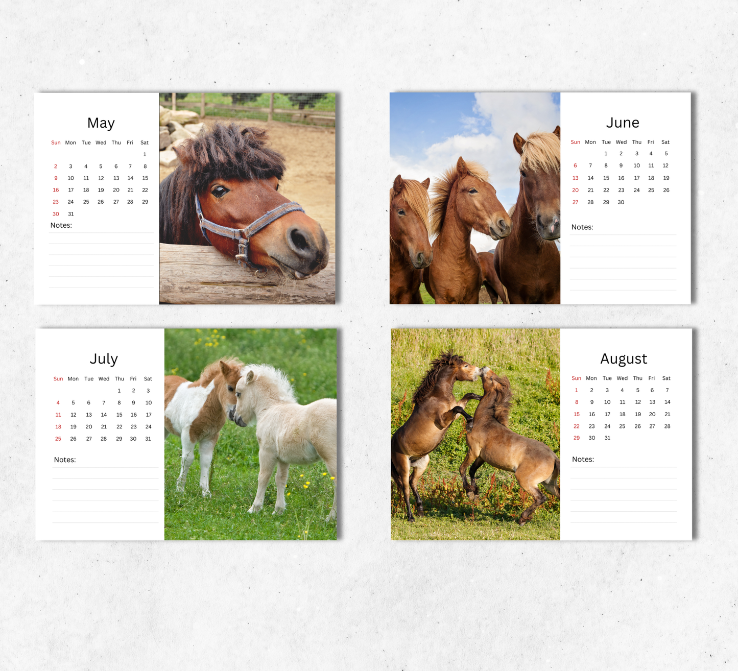 Pony Desk Calendar 2027-2028