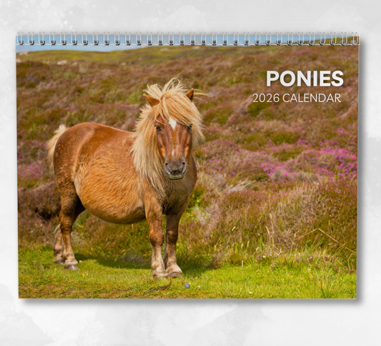 Pony Calendar 2026