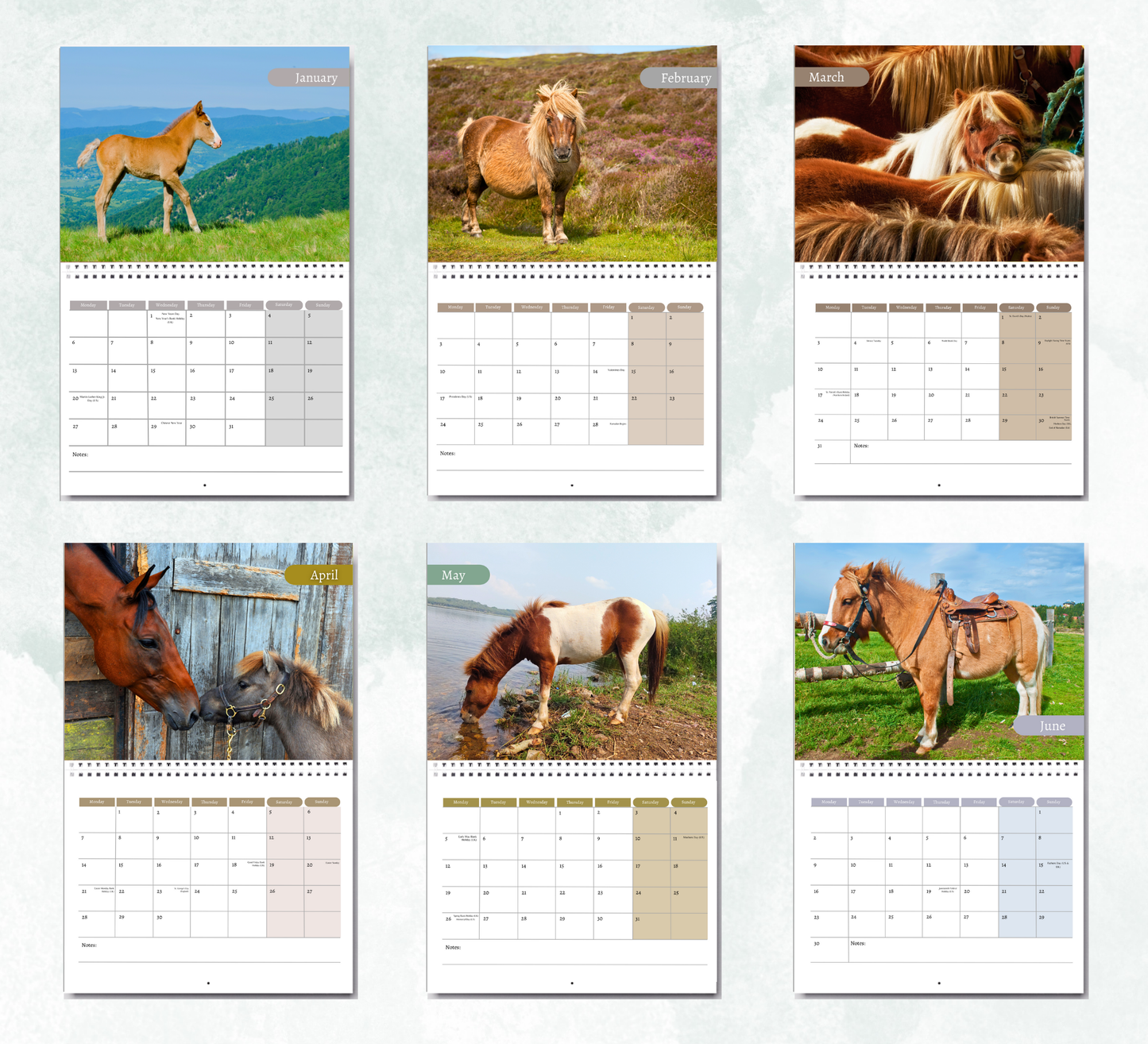 Pony Calendar 2026