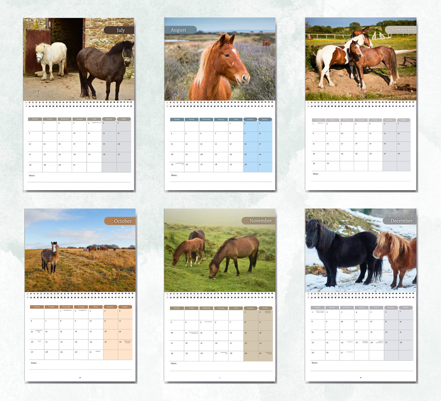 Pony Calendar 2026