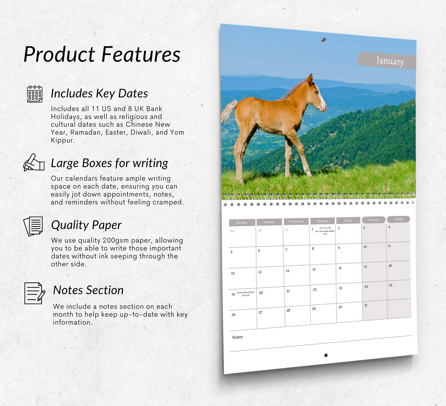 Pony Calendar 2026