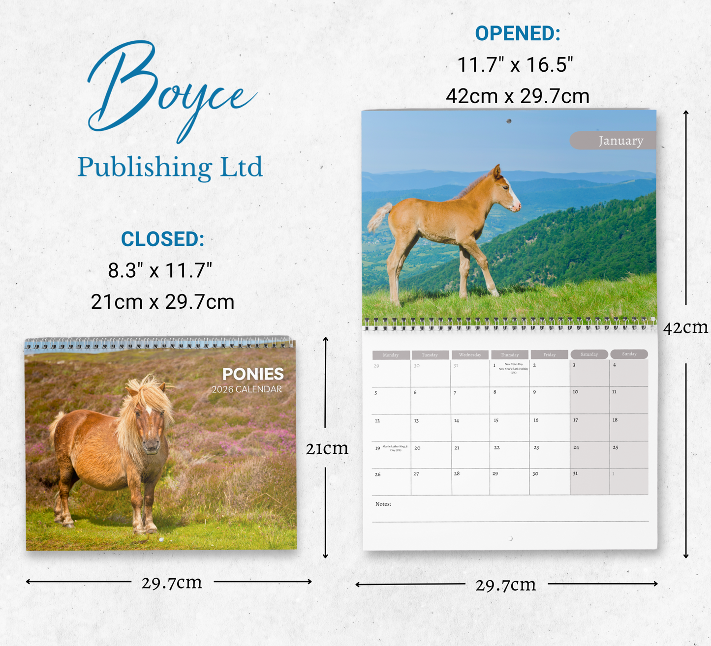 Pony Calendar 2026