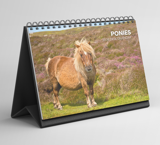Pony Desk Calendar 2026-2027