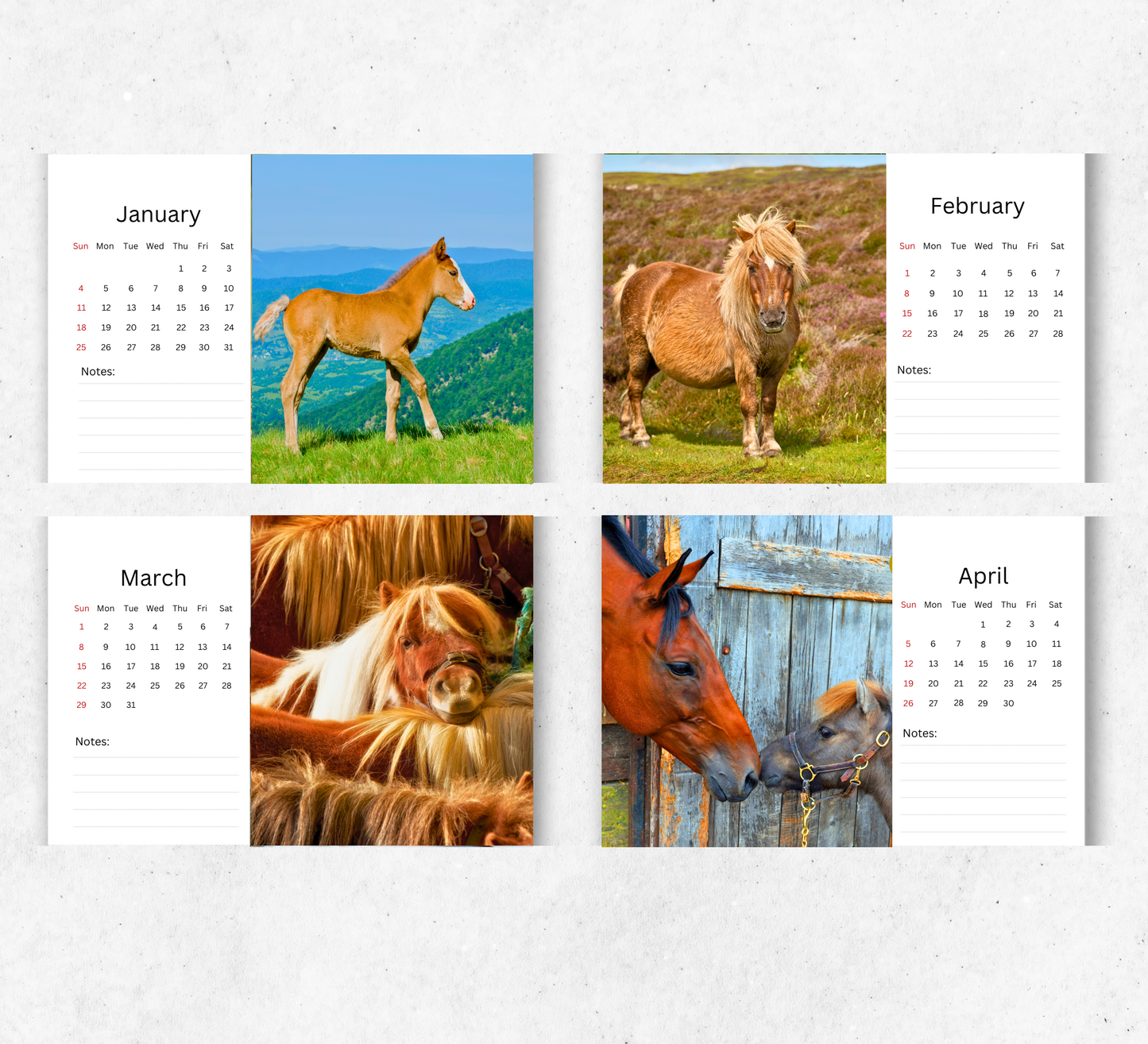 Pony Desk Calendar 2026-2027