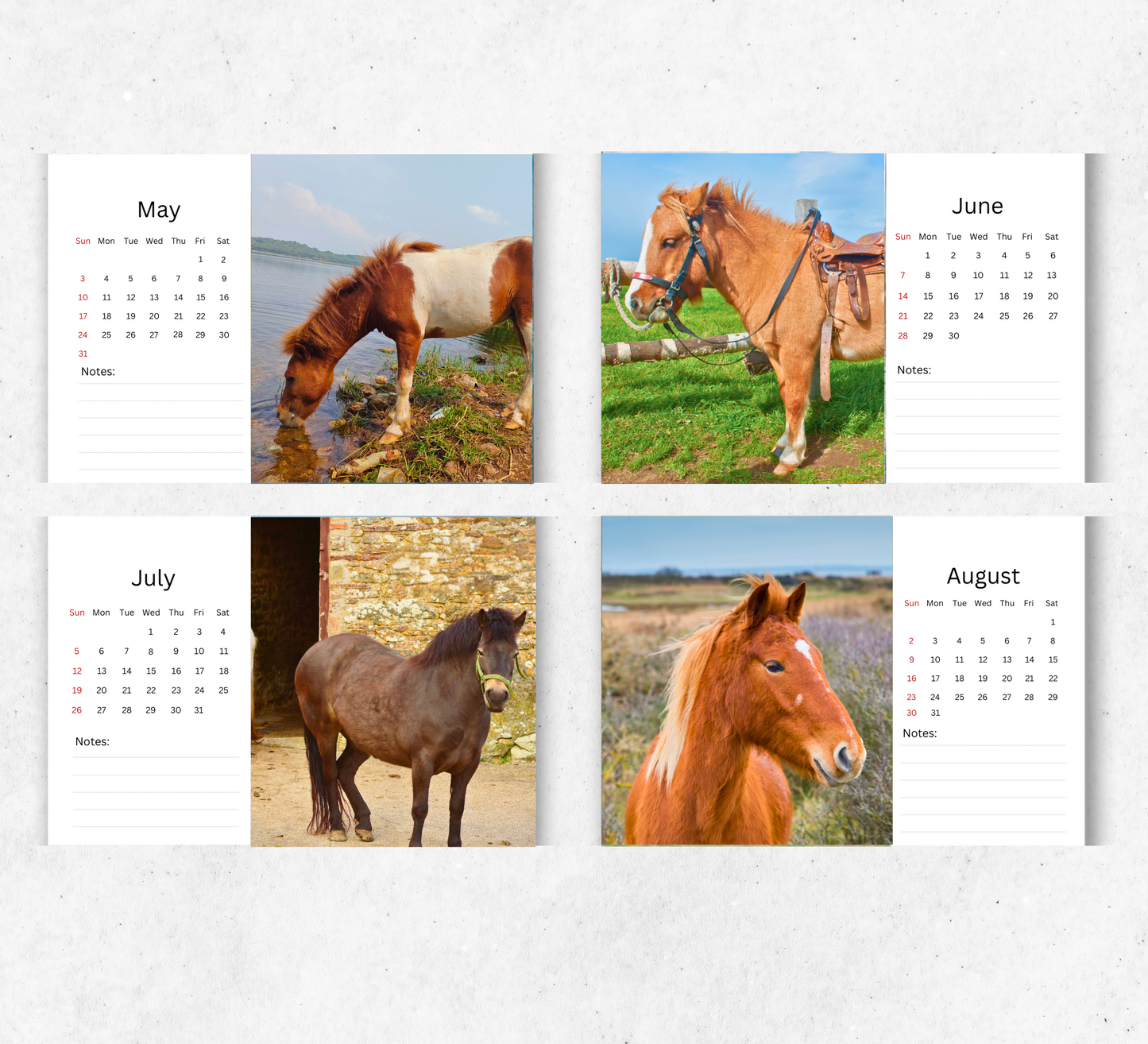 Pony Desk Calendar 2026-2027