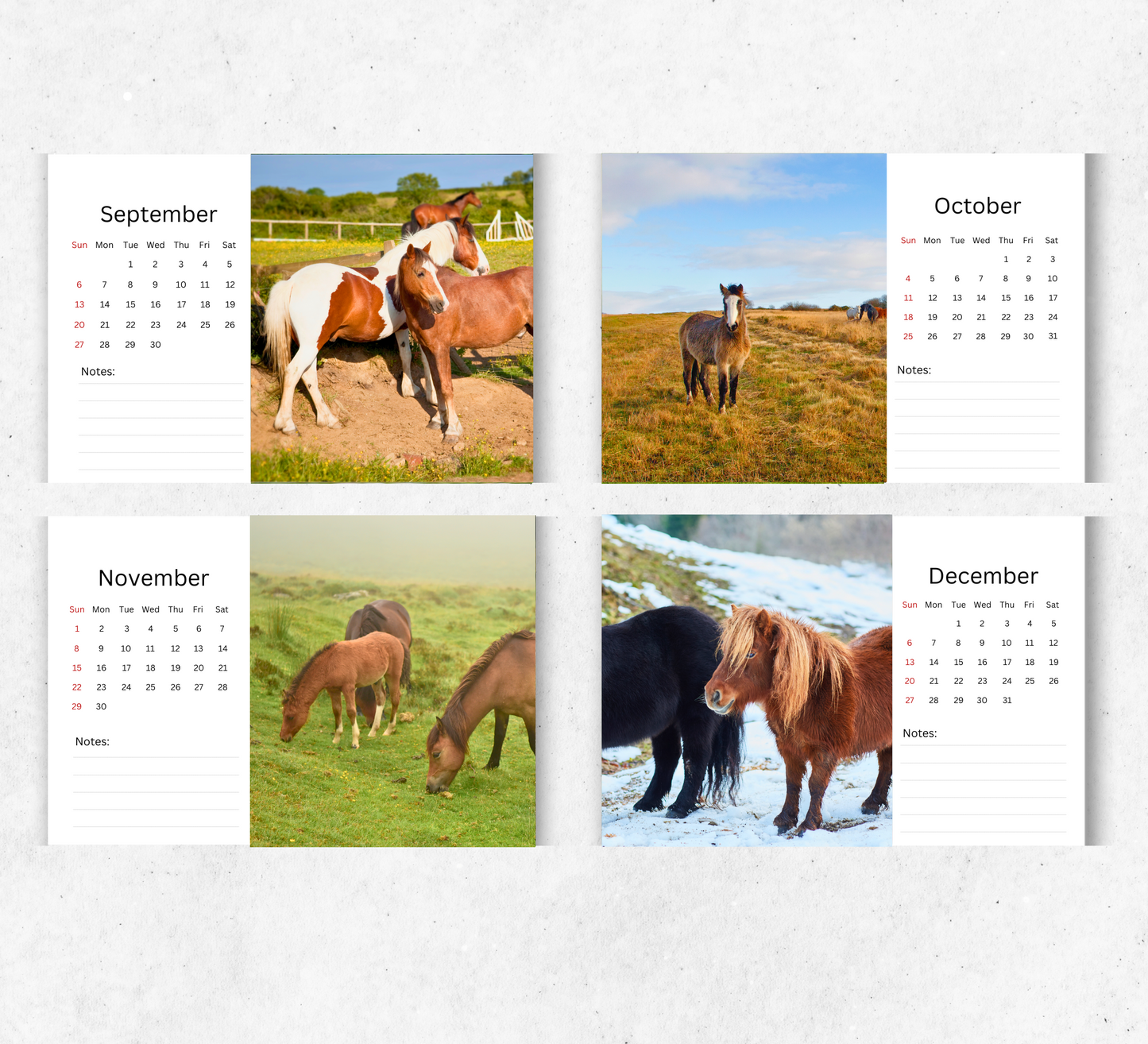 Pony Desk Calendar 2026-2027