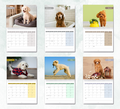 Poodle Calendar 2027