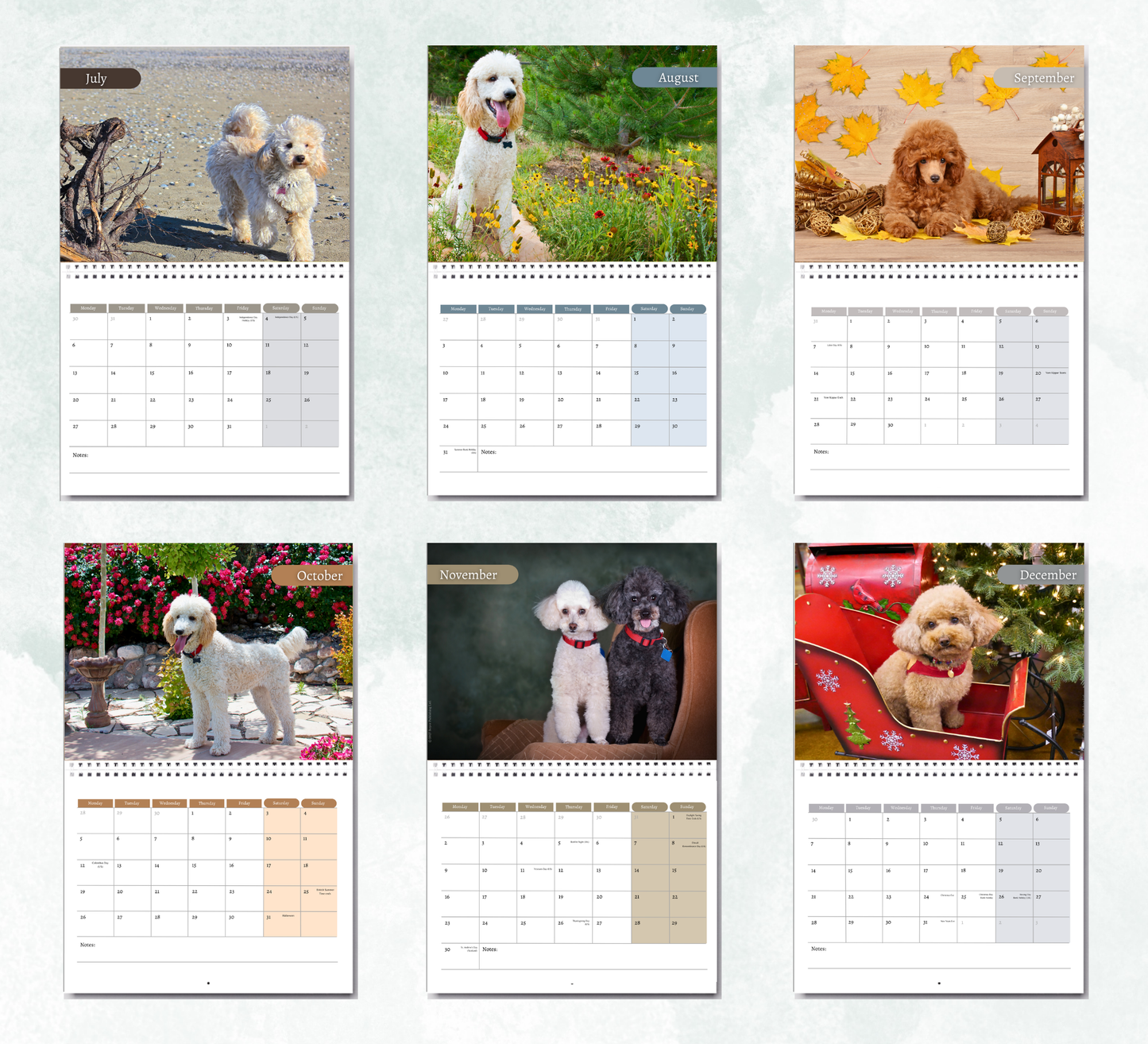 Poodle Calendar 2027
