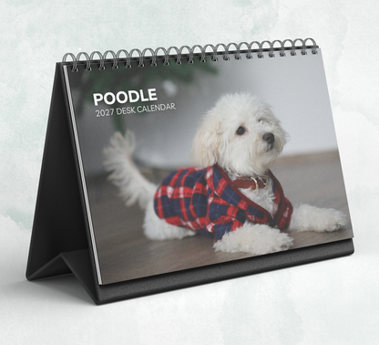 Poodle Desk Calendar 2027-2028