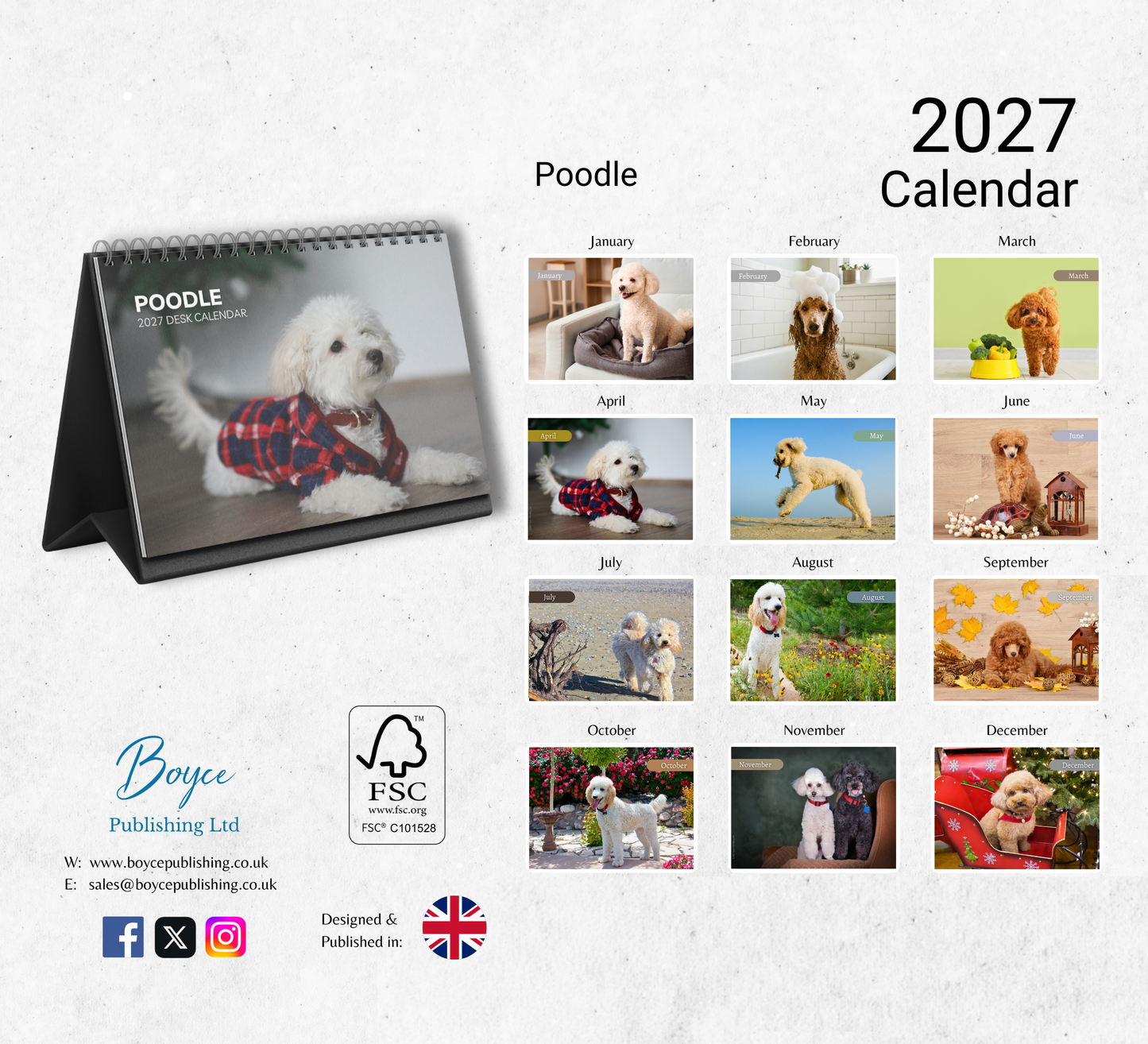 Poodle Desk Calendar 2027-2028