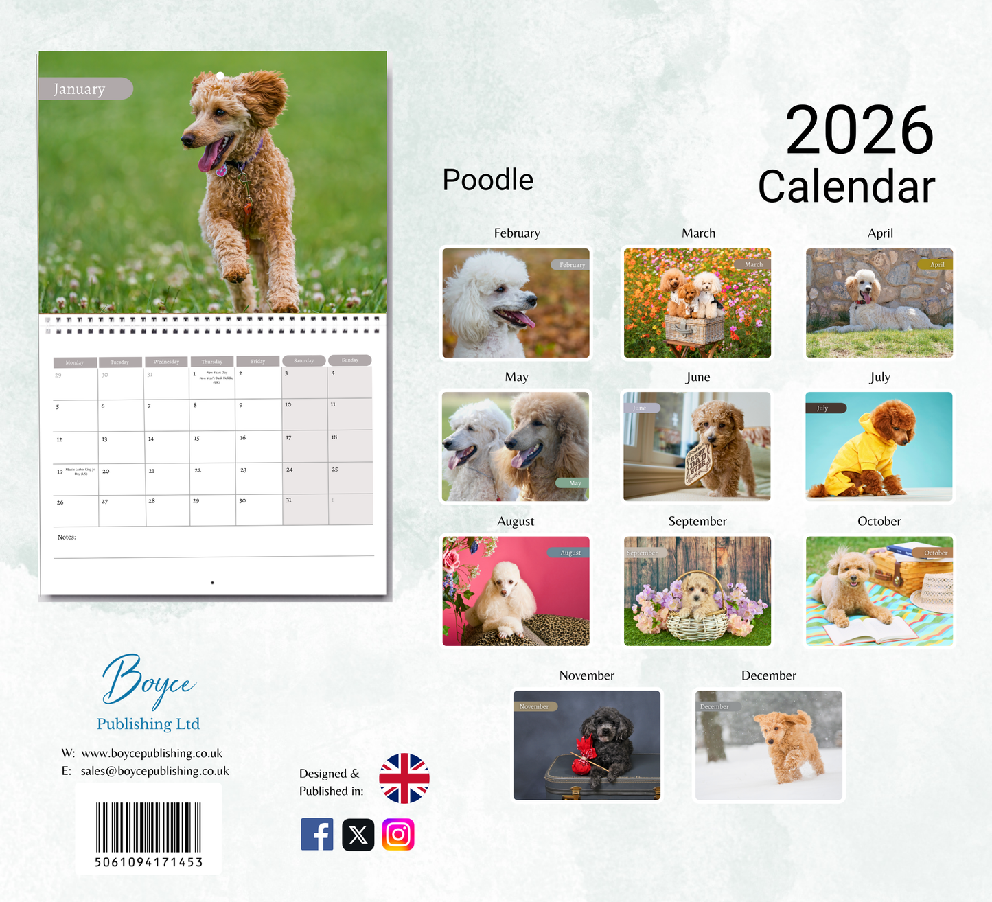 Poodle Calendar 2026
