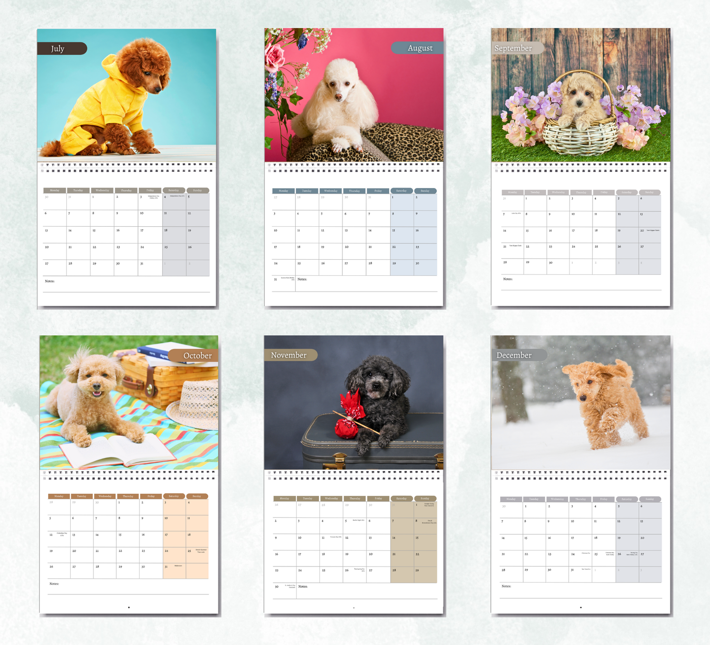 Poodle Calendar 2026
