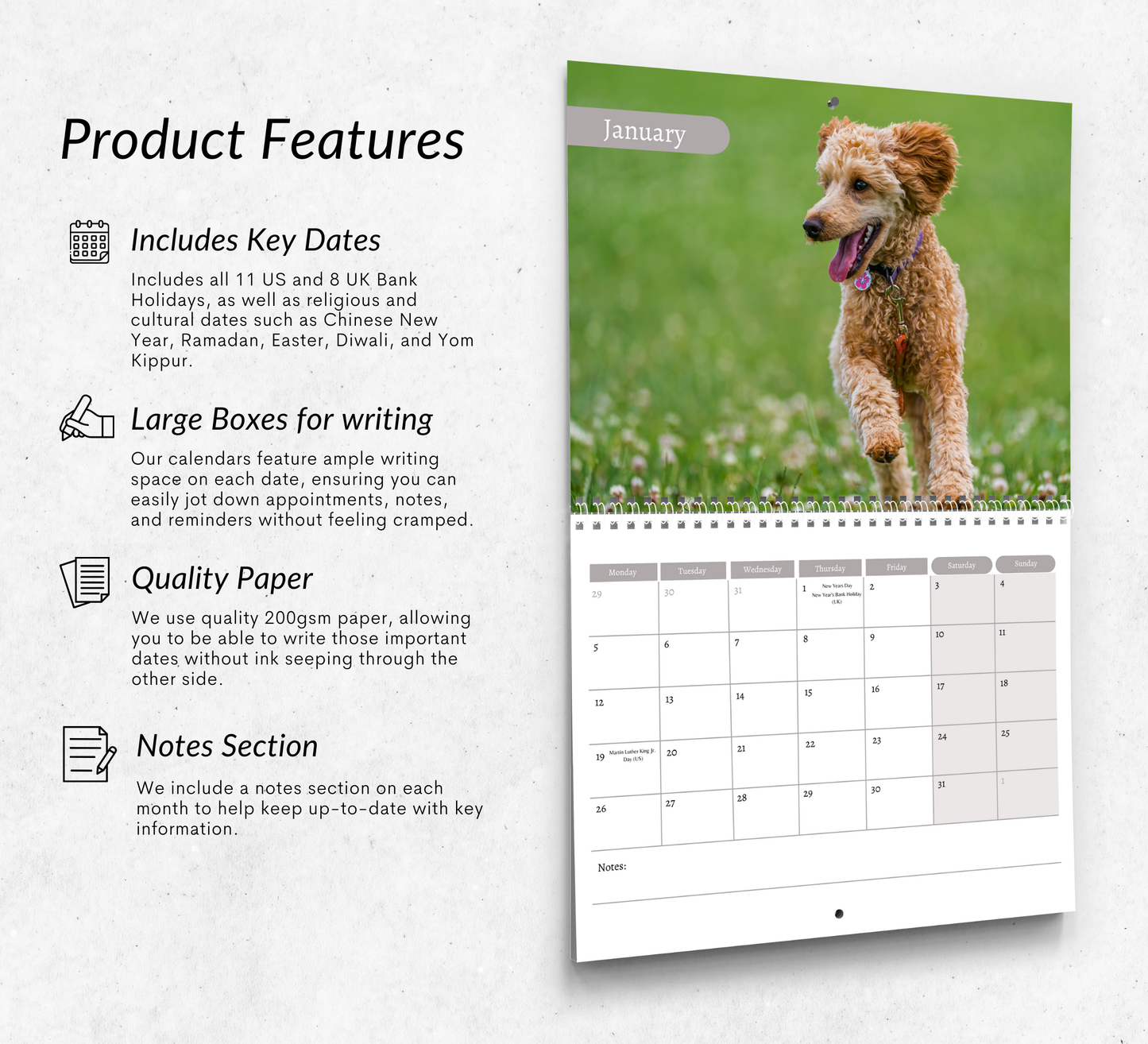 Poodle Calendar 2026