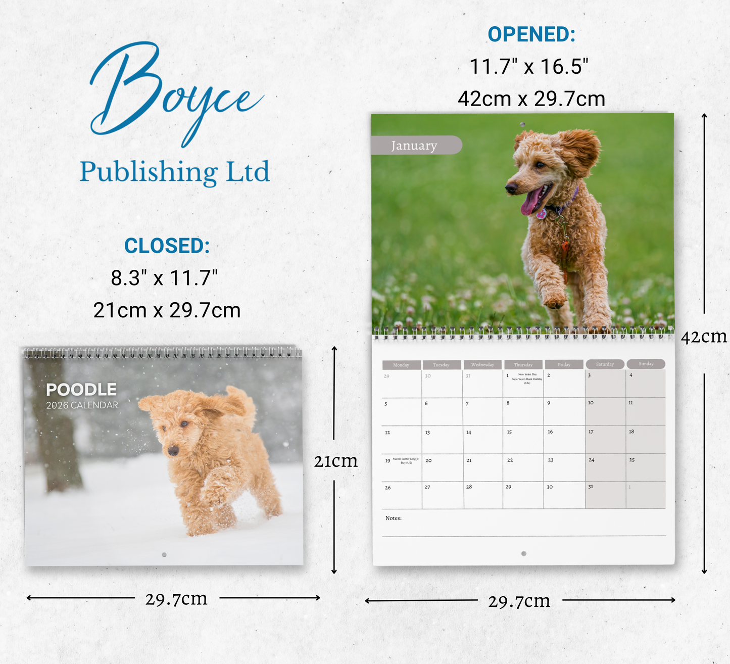 Poodle Calendar 2026