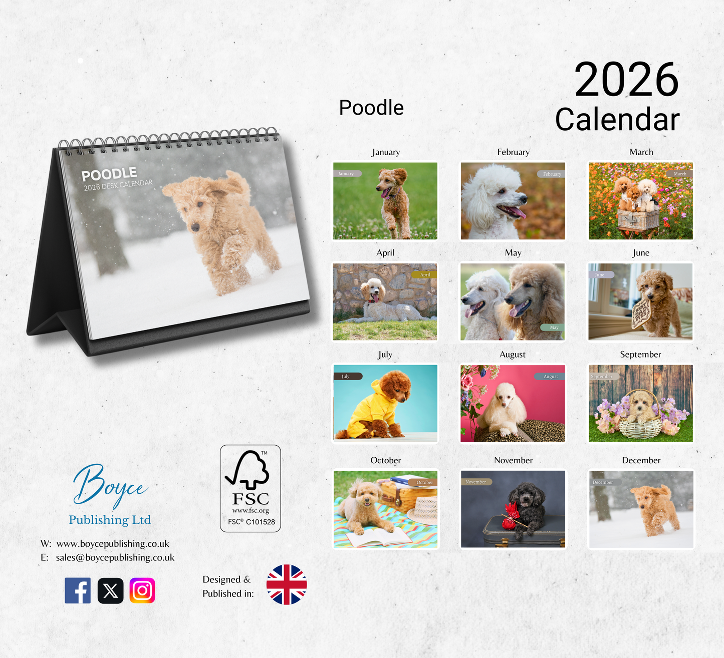 Poodle Desk Calendar 2026-2027