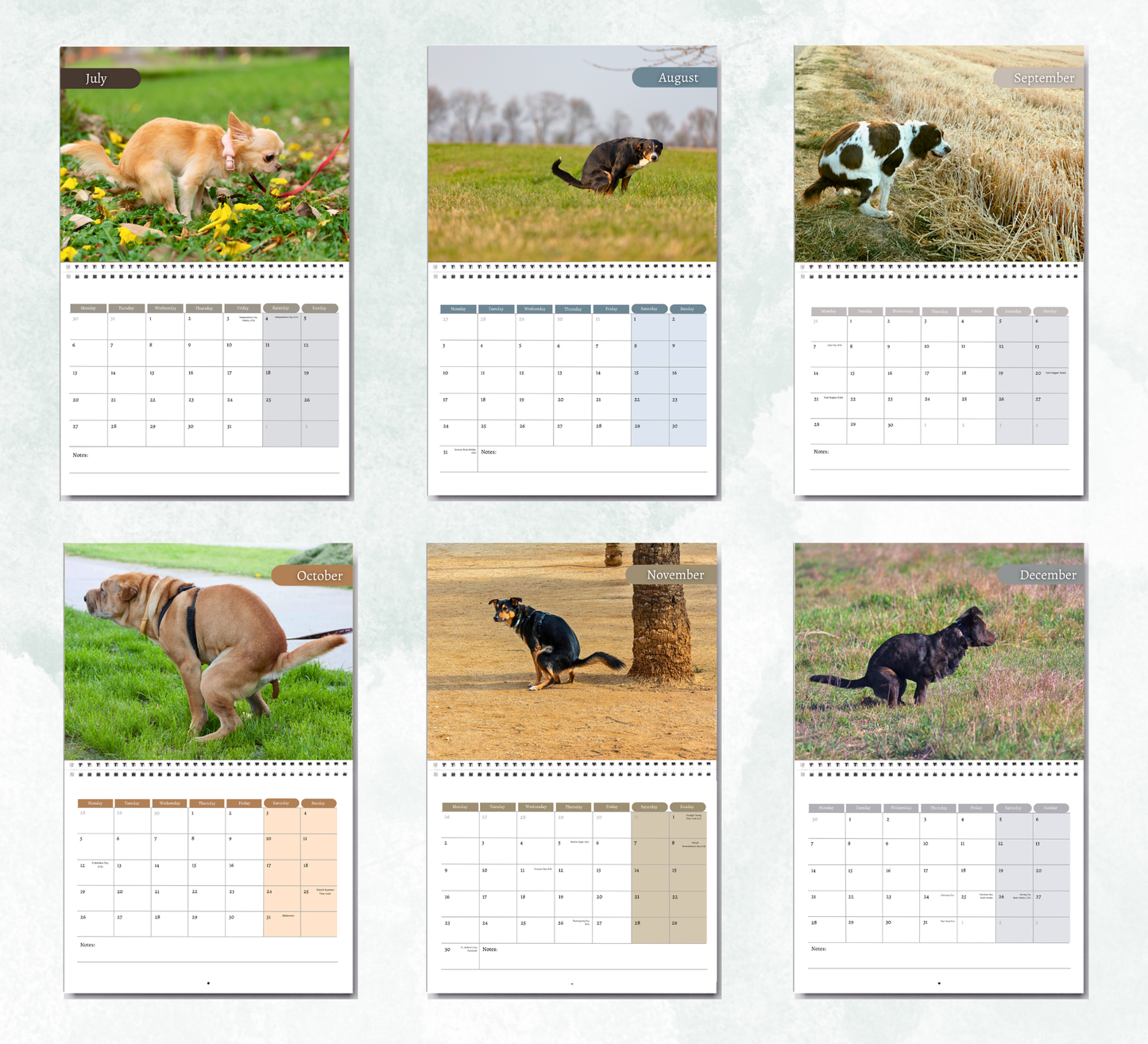 Pooping Dogs Calendar 2027