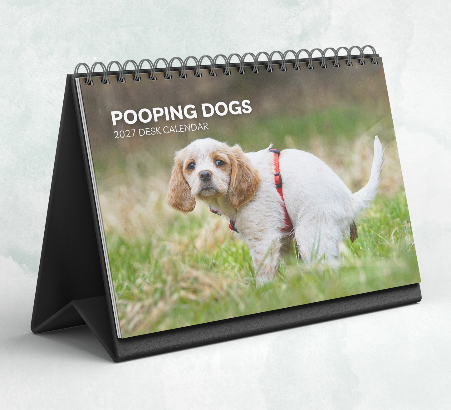 Pooping Dogs Desk Calendar 2027-2028