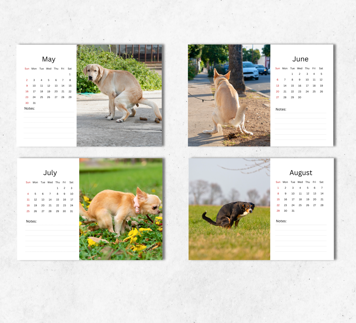 Pooping Dogs Desk Calendar 2027-2028