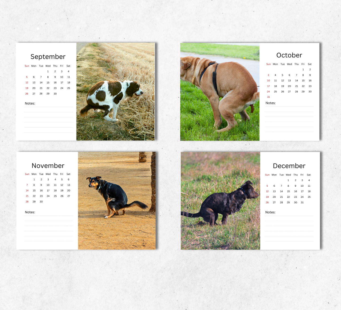 Pooping Dogs Desk Calendar 2027-2028