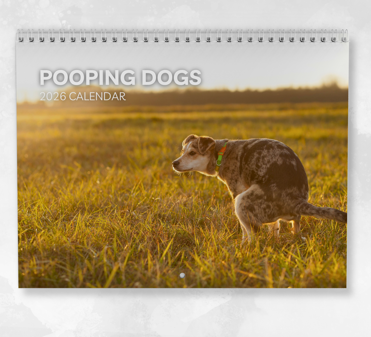 Pooping Dogs Calendar 2026