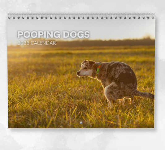 Pooping Dogs Calendar 2026