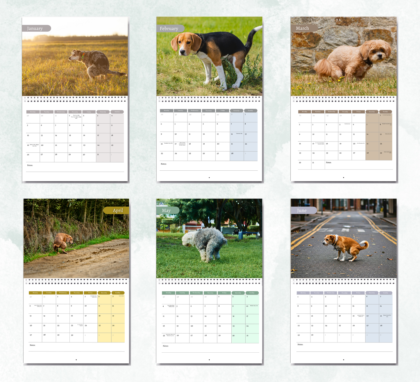 Pooping Dogs Calendar 2026