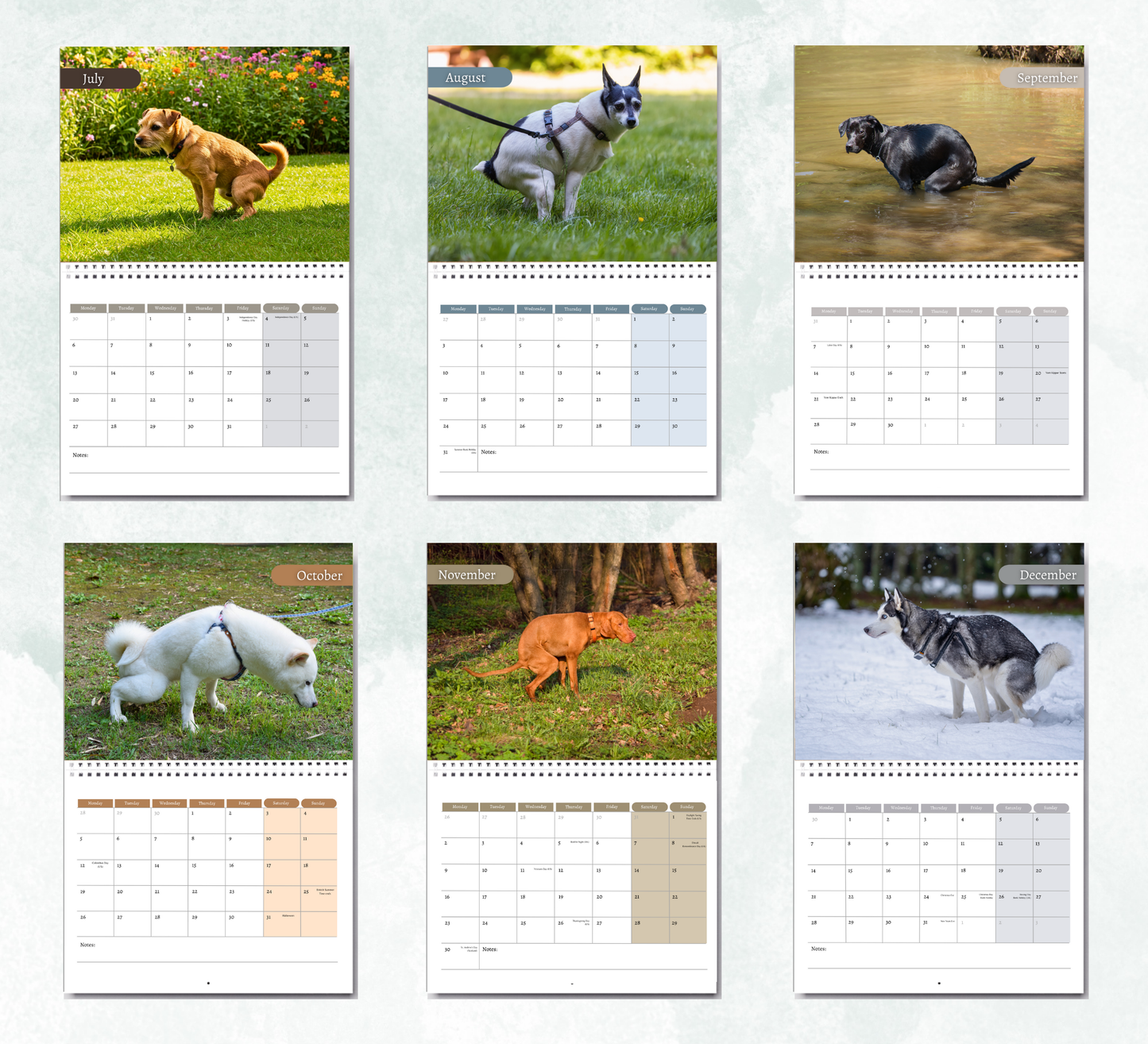 Pooping Dogs Calendar 2026