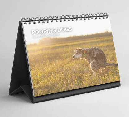 Pooping Dogs Desk Calendar 2026-2027