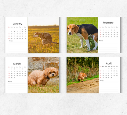 Pooping Dogs Desk Calendar 2026-2027