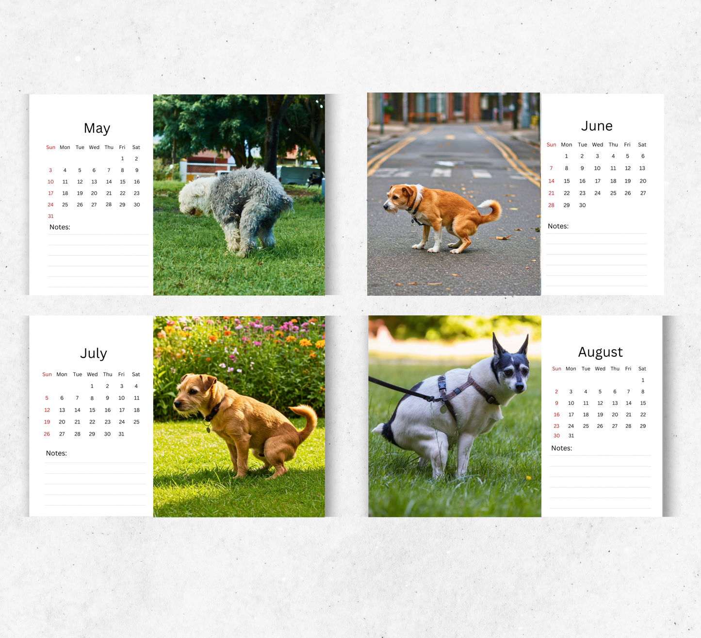 Pooping Dogs Desk Calendar 2026-2027