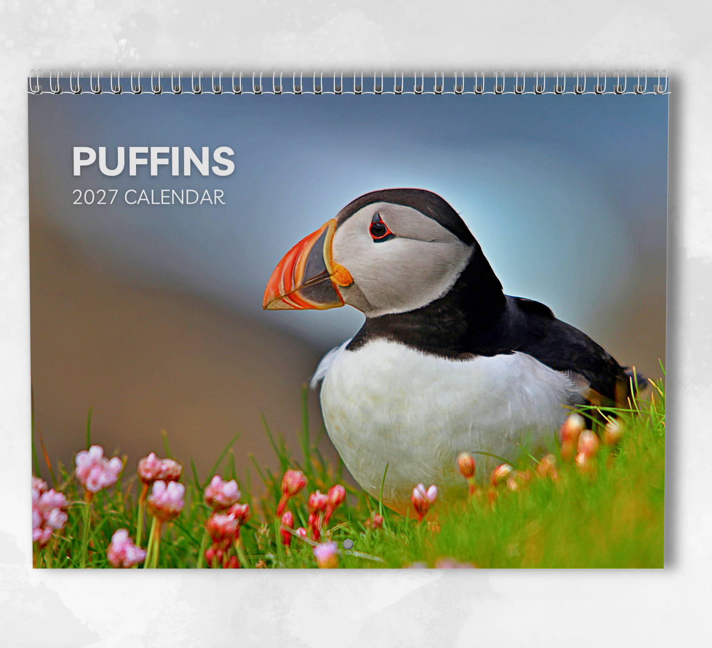 Puffins Calendar 2027