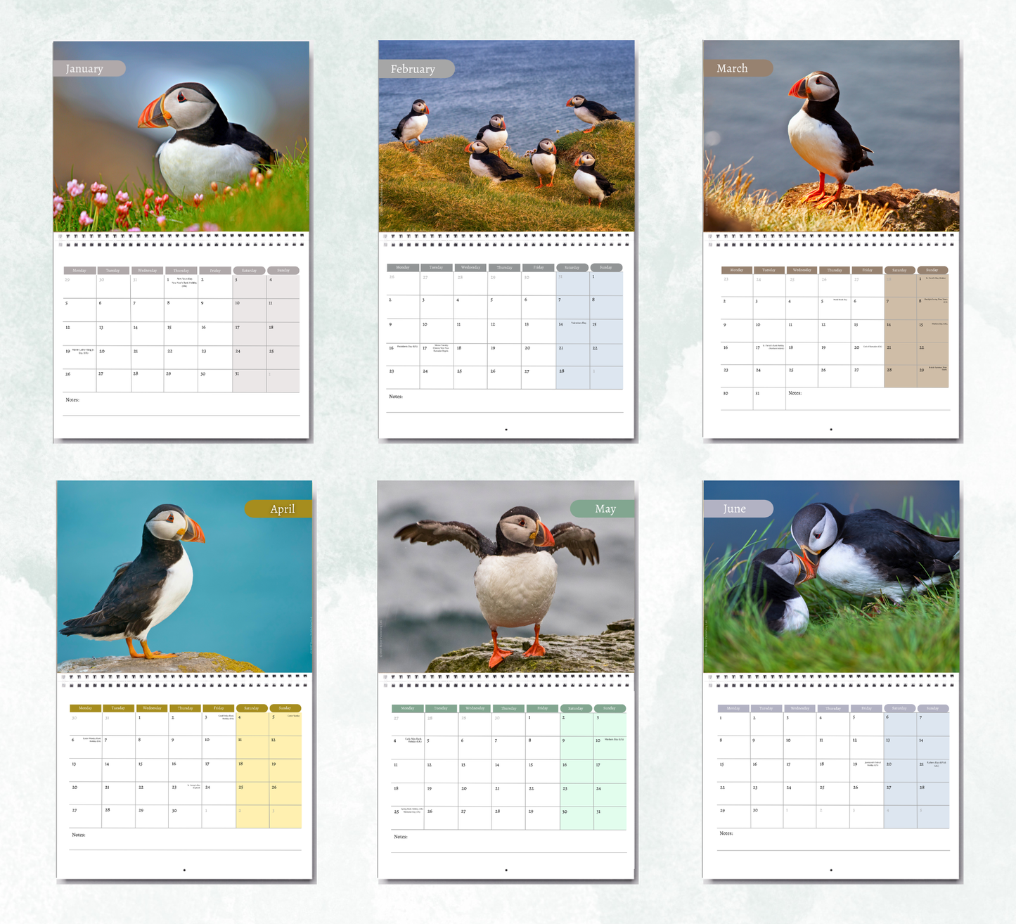 Puffins Calendar 2027