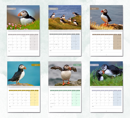 Puffins Calendar 2027