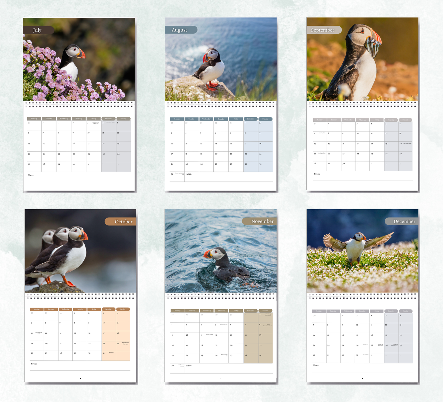Puffins Calendar 2027