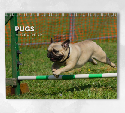 Pug Calendar 2027